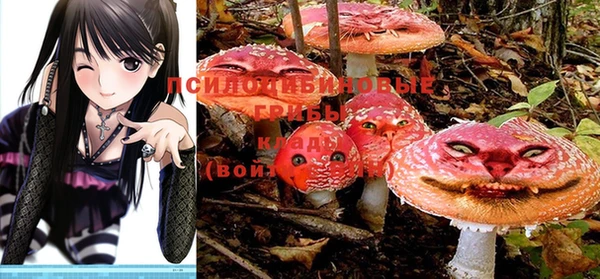 гашиш Магас