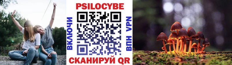 Галлюциногенные грибы Cubensis Мураши