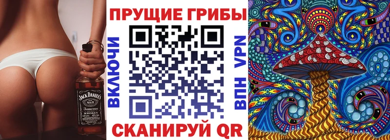 Купить закладки  Мураши  Галлюциногенные грибы GOLDEN TEACHER 